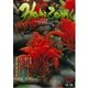 ホライゾン 第15号（エアポートTVネットワークジャパン） [電子書籍]
