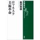 ロマネスク美術革命（新潮選書）（新潮社） [電子書籍]
