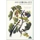 ふたつの海のあいだで（新潮社） [電子書籍]