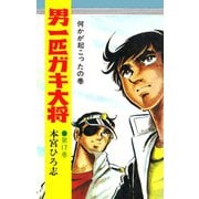 男一匹ガキ大将（17）（サード・ライン） [電子書籍]