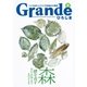 Grandeひろしま Vol.9（TME出版） [電子書籍]