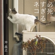写真集 必死すぎるネコ（辰巳出版ebooks） [電子書籍]