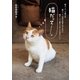 猫だって・・・・・・。（辰巳出版ebooks） [電子書籍]