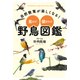 自然散策が楽しくなる！ 見わけ・聞きわけ 野鳥図鑑（池田書店）（PHP研究所） [電子書籍]