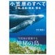 小笠原のすべて 父島・母島・南島・聟島（JTBパブリッシング） [電子書籍]