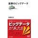 進撃のビッグデータ（マイナビ出版） [電子書籍]