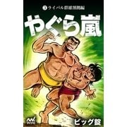 やぐら嵐 第3巻 ライバル群雄割拠編（マイナビ出版） [電子書籍]