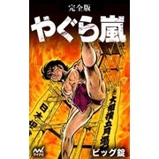 完全版 やぐら嵐（マイナビ出版） [電子書籍]