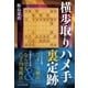 横歩取りハメ手裏定跡（マイナビ出版） [電子書籍]