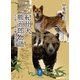 ヤマケイ文庫 紀州犬 熊五郎物語（山と溪谷社） [電子書籍]