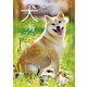 犬に贈るラブレター（TOブックス） [電子書籍]