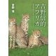 吉野信的アフリカ 写真家が旅して感じた17のストーリー（天夢人） [電子書籍]