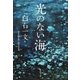 光のない海（集英社） [電子書籍]