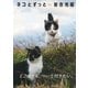 岩合光昭 写真集「ネコとずっと」（辰巳出版ebooks） [電子書籍]