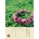 しあわせの花飾り ハワイアン・レイメイキング（ポプラ社） [電子書籍]