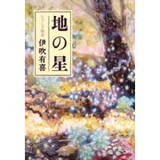 地の星 なでし子物語（ポプラ社） [電子書籍]
