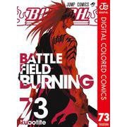 BLEACH カラー版 73（集英社） [電子書籍]