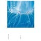 ときめくクラゲ図鑑（山と溪谷社） [電子書籍]