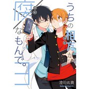 うちの相方が腐なもんで。（3）（KADOKAWA） [電子書籍]