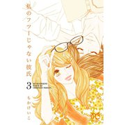 私のフツーじゃない彼氏 3（秋田書店） [電子書籍]