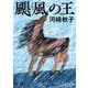 颶風の王（KADOKAWA） [電子書籍]