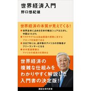 世界経済入門（講談社） [電子書籍]