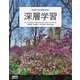 深層学習（ドワンゴ） [電子書籍]