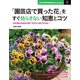 「園芸店で買った花」をすぐ枯らさない知恵とコツ（主婦の友社） [電子書籍]