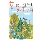 空にみずうみ（中央公論新社） [電子書籍]