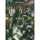 海うそ（岩波書店） [電子書籍]