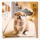 秋田犬のおやこ（翔泳社） [電子書籍]
