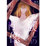 麗しの肖像（ネットワーク出版） [電子書籍]