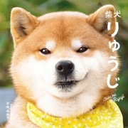 柴犬りゅうじ （パイ インターナショナル） [電子書籍]