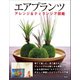エアプランツ アレンジ＆ティランジア図鑑（電波社） [電子書籍]