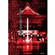 長野の怖い話 亡霊たちは善光寺に現る（TOブックス） [電子書籍]