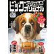ビッグコミックオリジナル 2019年2号（2019年1月4日発売）（小学館） [電子書籍]