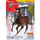 週刊Gallop（ギャロップ） 2月3日号（サンケイスポーツ） [電子書籍]