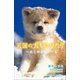 小学館ジュニア文庫 天国の犬ものがたり～はじめまして～（小学館） [電子書籍]