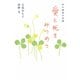 愛と死をみつめて（大和書房） [電子書籍]