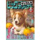 ビッグコミックオリジナル増刊 2019年3月増刊号（2019年2月12日発売）（小学館） [電子書籍]