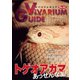 ビバリウムガイド 84号（エムピー・ジェー） [電子書籍]