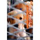 「いのち」のすくいかた 捨てられた子犬、クウちゃんからのメッセージ（集英社） [電子書籍]