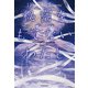 秘密をもてないわたし I Have No Secrets（KADOKAWA） [電子書籍]