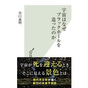 宇宙はなぜブラックホールを造ったのか（光文社） [電子書籍]