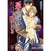 憂う城主は囚われる（海王社） [電子書籍]