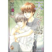 天にとどく樹【イラスト入り】（海王社） [電子書籍]