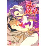愛の魔法【イラスト入り】（海王社） [電子書籍]
