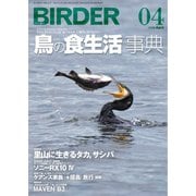 BIRDER(バーダー) 2019年4月号（文一総合出版） [電子書籍]