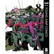 ノー・ガンズ・ライフ 8（集英社） [電子書籍]