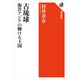 古琉球 海洋アジアの輝ける王国（KADOKAWA） [電子書籍]